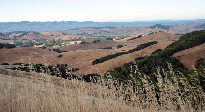 The drought-stricken hills of Sonoma County California are the ideal environment for growing grapes and managing ranches.