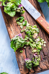 Fresh brussel and kale sprouts flower