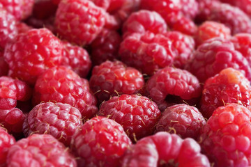 Ripe tasty raspberry