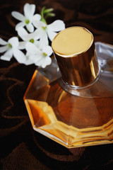 Women's perfume in beautiful bottle