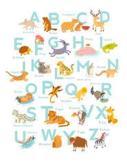 Nettes Vektor-Zoo-Alphabet. Lustige Comic-Tiere. Vektor-Illustration EPS10 isoliert auf weißem Hintergrund. Briefe. Lesen lernen © coffeee_in
