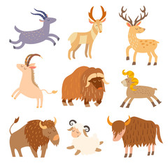Obraz premium Cattle wild set. Cartoon flat animals. Vector illustration, isolate on white background