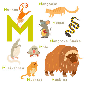 M letter animals set. English alphabet. Vector illustration, isolated on white background