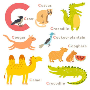 C letter animals set. English alphabet. Vector illustration, isolated on white background