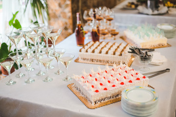 Delicious Wedding Cake and Candy Bar