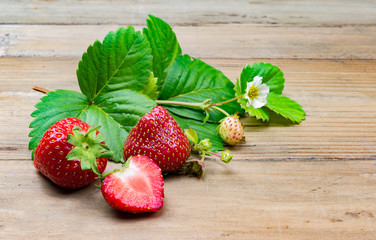 Fresh Strawberries on wooden background