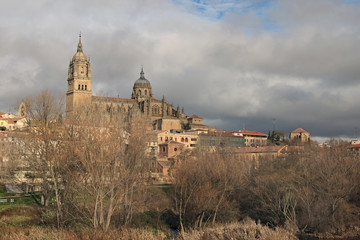 Fabulous views of the medieval cathedral. Catedral Nueva de Salamanca. Spain.