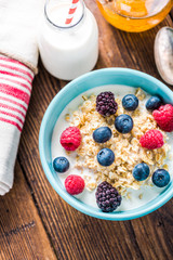 Bowl with oat porridge and berry fruits