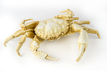 Artificial crab isolated on white background