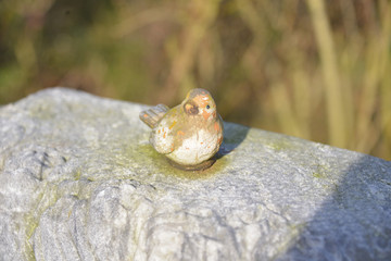 kleiner Spatz auf dem Grabstein
