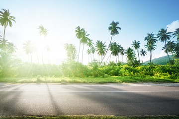 empty road in jungle of Seychelles islands