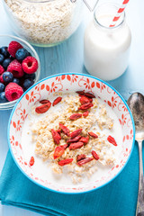Dry goji fruit berry with homemade porridge