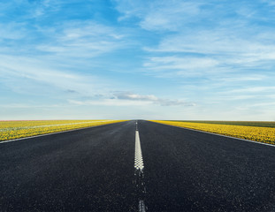 Road in the Tulips fields in Netherlands