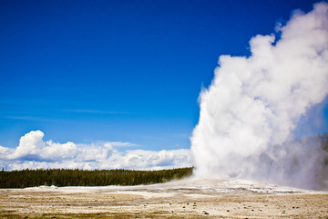 old faithful eruption