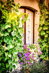 House window decorated with colorful petunias
