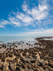 Fototapeta na wymiar The Stromatolites in the Area of Shark Bay, Western Australia. Australasia