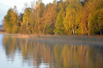 Fototapeta premium Autumn forest on the lake at sunrise.