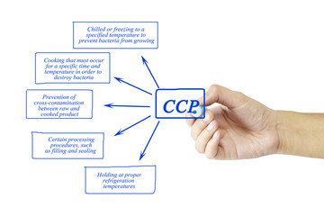 Woman hand and presentation of Critical Control Point (CCP) concept