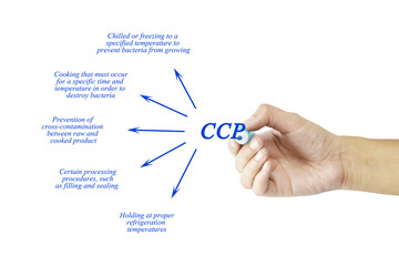 Woman hand and presentation of Critical Control Point (CCP) concept for use in manufacturing.