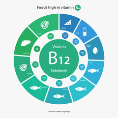 Foods high in vitamin B12. Vitamin content of foods. Healthy lifestyle and diet vector illustration infographics with food icons.