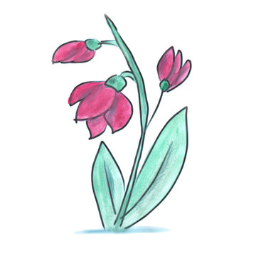 Purple Flower Cartoon Watercolor Isolated