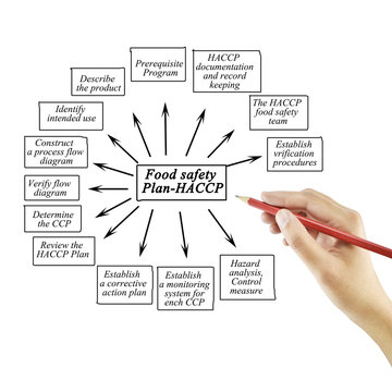 Hand writing element of Food safety Plan-HACCP for business concept