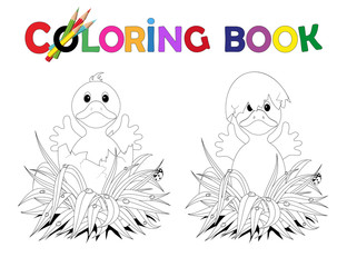 Ausmalbild Osterküken in der Eierschale
Vektor Illustration isoliert auf weißem Hintergrund
