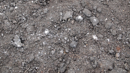 Fresh soil background closeup