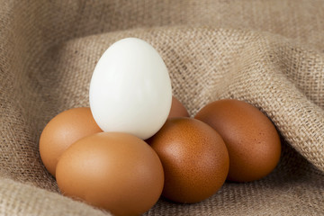 white and brown chicken eggs