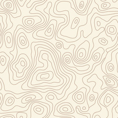 Fototapeta premium Seamless repeating map