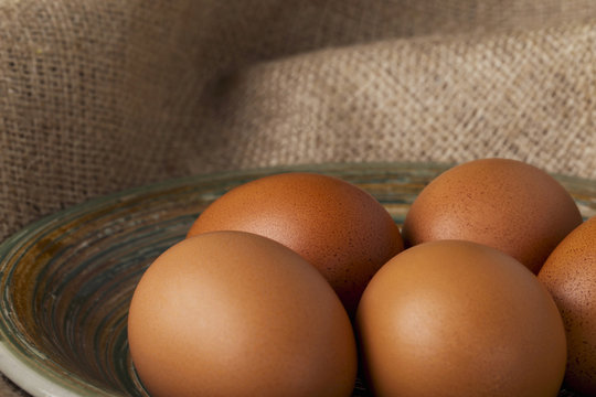 the brown chicken eggs