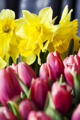 Fototapeta premium Spring flowers