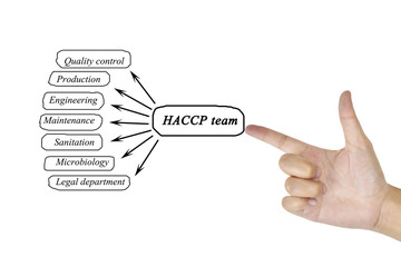 Women hand writing element of HACCP team for business concept and use in manufacturing
