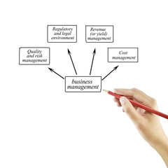 Woman hand and presentation of business management for use in business concept