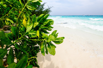 beach with white sand of Tachai island, Thailand.