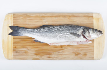 fish