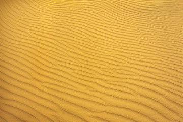 gold pattern of sand on the beach in summer. wave of sand