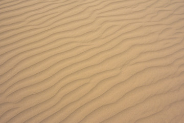  sand waves pattern in the desert. ground wave