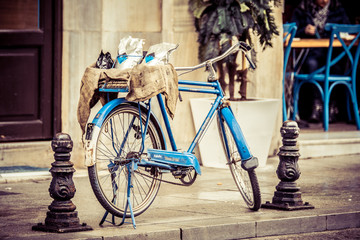 Fototapeta premium bicicleta decorativa en la calle