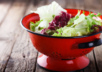 Green salad in a red colander.Capriccio.selective focus.