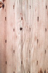 Wood grain bark texture