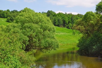 Fototapeta na wymiar Riverside Luzha River in the Kaluga region