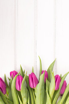 tulip bouquet on white wooden background