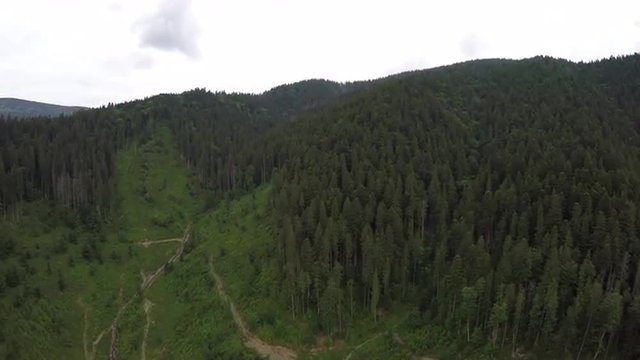 Beautiful aerial view through the forest. Carpathians