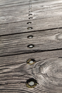 Wooden Walk Texture