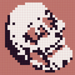 Skull collected from pixels.