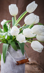 bouquet of white tulips in the old cans.Flowers of spring and love.Happy Mothers Day.Vintage style.selective focus.