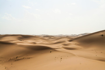 Fototapeta na wymiar landscape marroc desert sand dunes