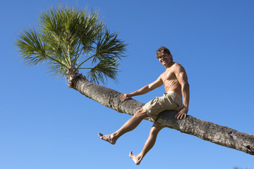 Man sitting on trunk of tropical palm tree
