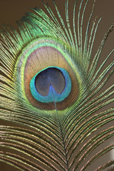 Obraz premium 黄色い風船、もらったよ。着物を着て微笑む少女